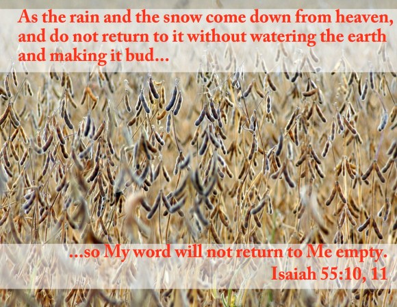 My Word will not return empty