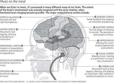 Music & the brain