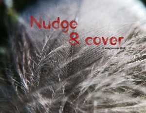 Nudge & cover