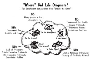 Where did life originate