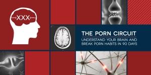 The Porn Circuit