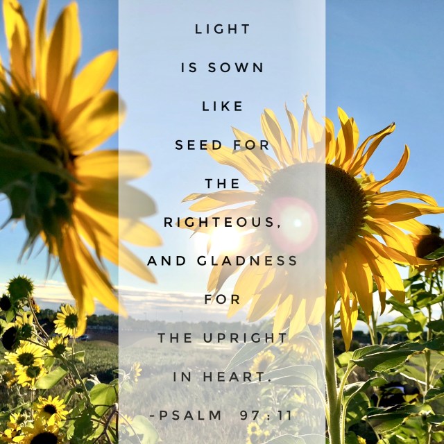 Plant The Seed Bible Verse 46 Bible Verses About Sowing Seeds