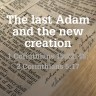 Last Adam