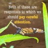 Pay careful attention