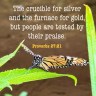 Proverbs 27.21 [niv]