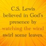 CSL – wind and&nbsp;leaves
