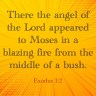 Exodus 3.2