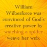 Wilberforce – spider