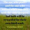 1 Corinthians 3.8&nbsp;NLT