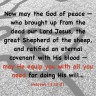 Hebrews 13.20-21 NLT